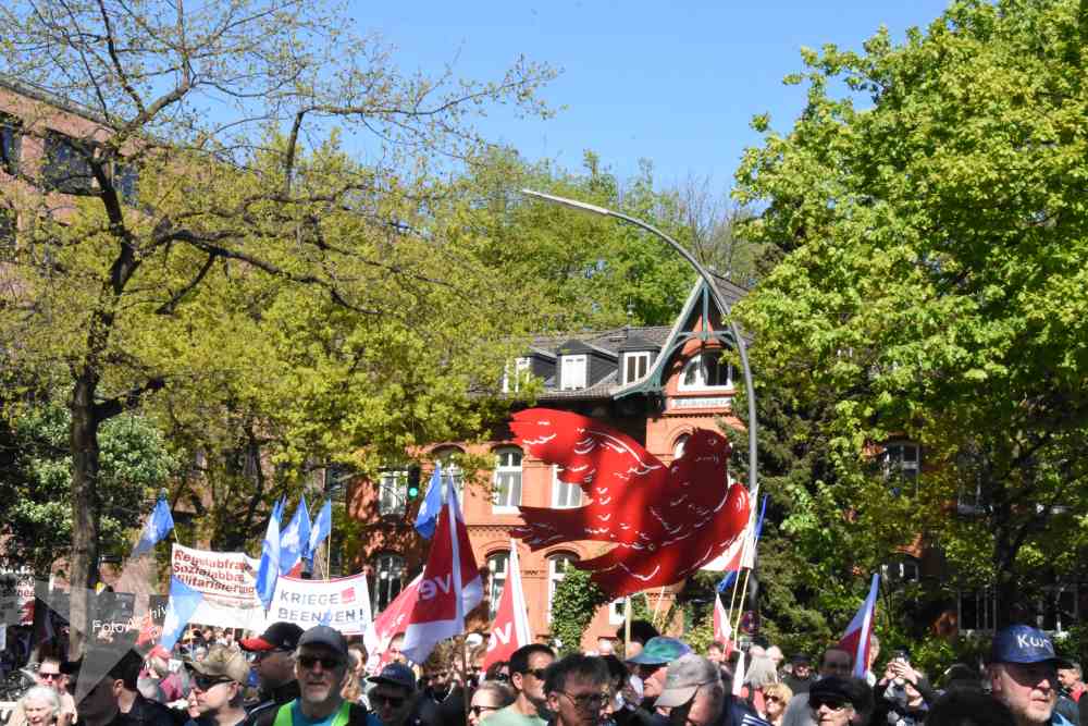 Bild 12
